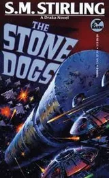 Cover of The stone dogs