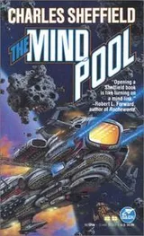 Cover of The Mind Pool
