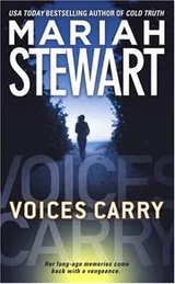 Cover of Voices Carry