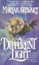 Cover of A Different Light