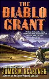 Cover of The Diablo grant