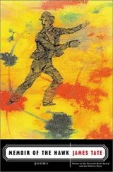 Cover of Memoir of the Hawk