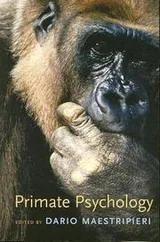 Cover of Primate Psychology