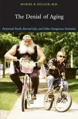 Cover of The denial of aging