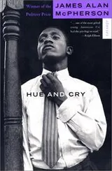 Cover of Hue and cry