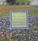Cover of Wildflowers across America