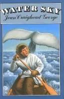 Cover of Water sky
