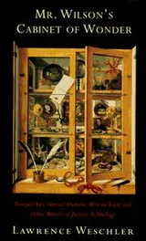 Cover of Mr. Wilson’s Cabinet of Wonder