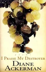 Cover of I Praise My Destroyer
