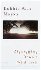 Cover of Zigzagging down a wild trail