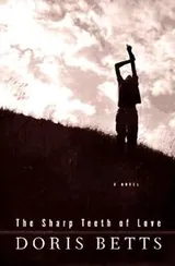 Cover of The sharp teeth of love