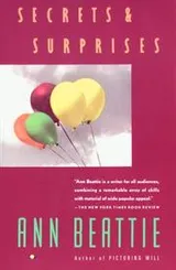 Cover of Secrets and surprises