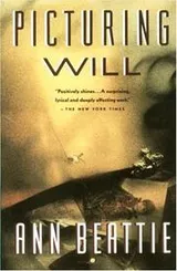 Cover of Picturing Will