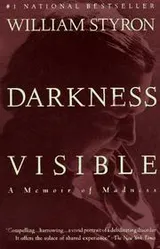 Cover of Darkness Visible