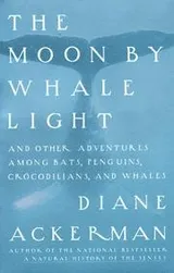 Cover of The moon by whale light