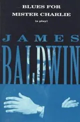 Cover of Blues For Mister Charlie