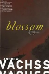 Cover of Blossom