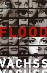 Cover of Flood