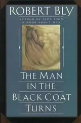 Cover of The Man in the Black Coat Turns