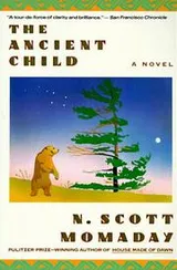 Cover of The ancient child
