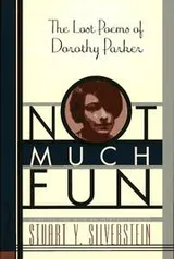 Cover of Not much fun