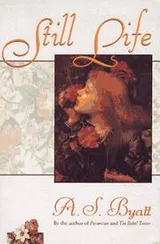 Cover of Still life