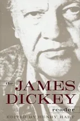 Cover of The James Dickey reader