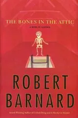 Cover of The bones in the attic
