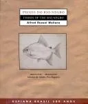 Cover of Peixes do Rio Negro