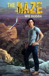 Cover of The Maze