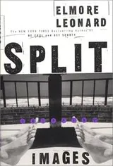 Cover of Split Images