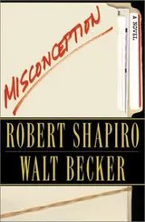 Cover of Misconception