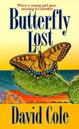 Cover of Butterfly Lost (Laura Winslow Mysteries)