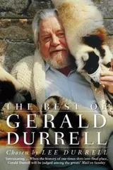Cover of Best of Gerald Durrell