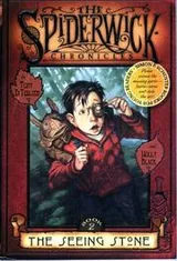 Cover of The Seeing Stone (Spiderwick Chronicle)