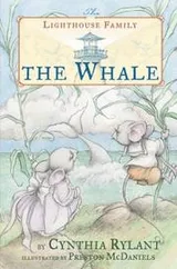 Cover of The Turtle