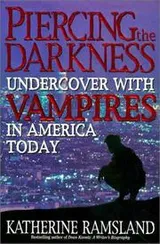 Cover of Piercing the darkness