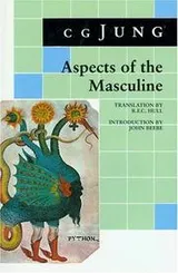 Cover of Aspects of the masculine