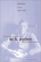 Cover of Juvenilia