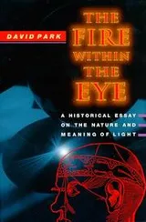 Cover of The Fire within the Eye