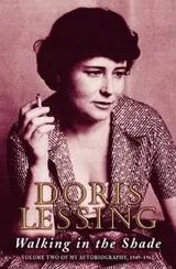 Cover of Walking in the Shade