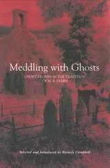 Cover of Meddling with Ghosts