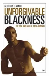 Cover of Unforgivable Blackness