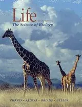 Cover of Life & CD-Rom