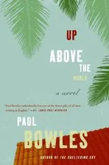 Cover of Up Above the World