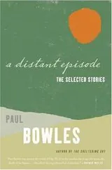 Cover of A Distant Episode