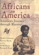 Cover of Africans in America