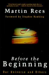 Cover of Before the beginning