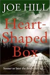 Cover of Heart-Shaped Box