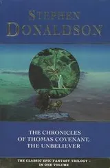 Cover of The Chronicles of Thomas Covenant the Unbeliever
